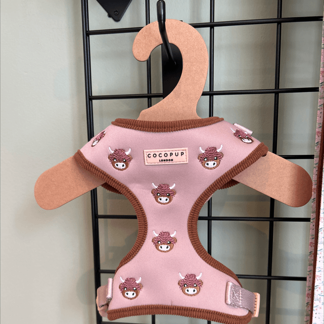 Harold highland cow harness 