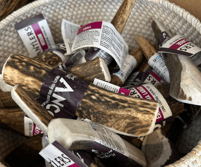 Easy S Antler 