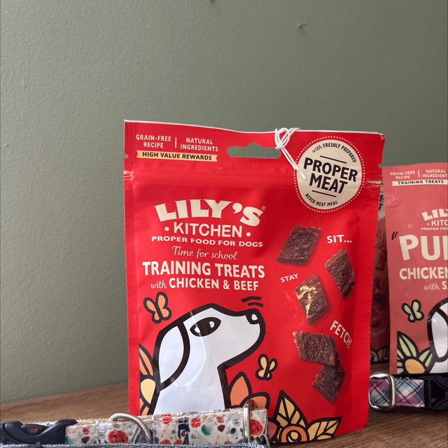 Lily’s kitchen chicken and beef treats 