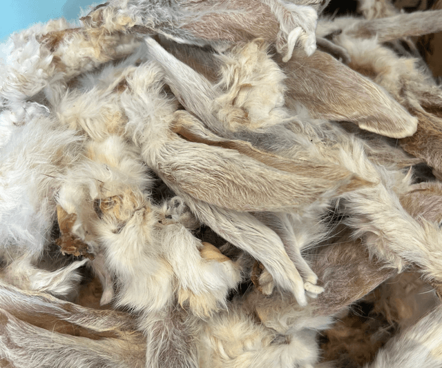 Hairy rabbit ears 